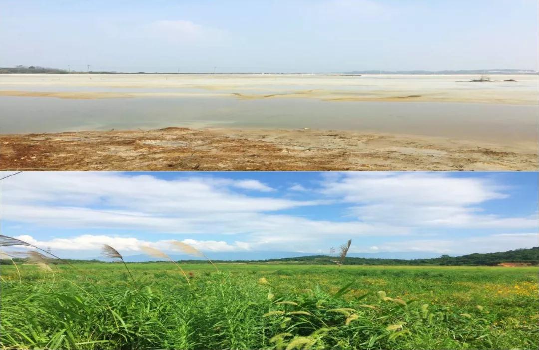 8a8e6c7931cf47529eb8c5a1aff36bbe