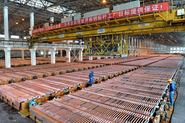 51d1bfd787d7438585b3af9d9c1575c1