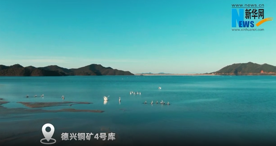 c641e1f5e2914df4aa10925adee5f041